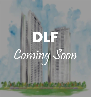 dlf new launch