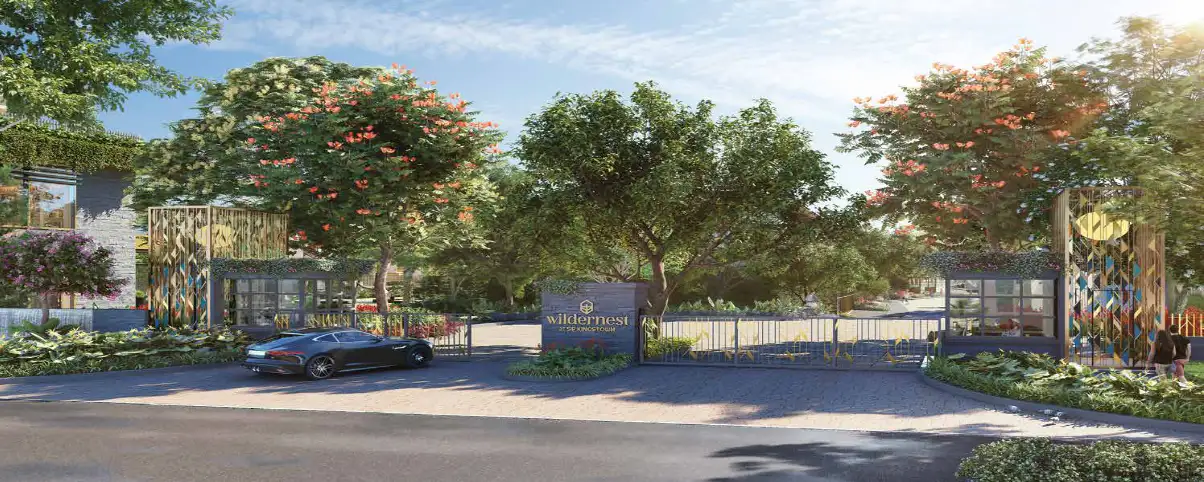 Wildernest at SP Kingstown highlight