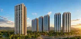 DLF project